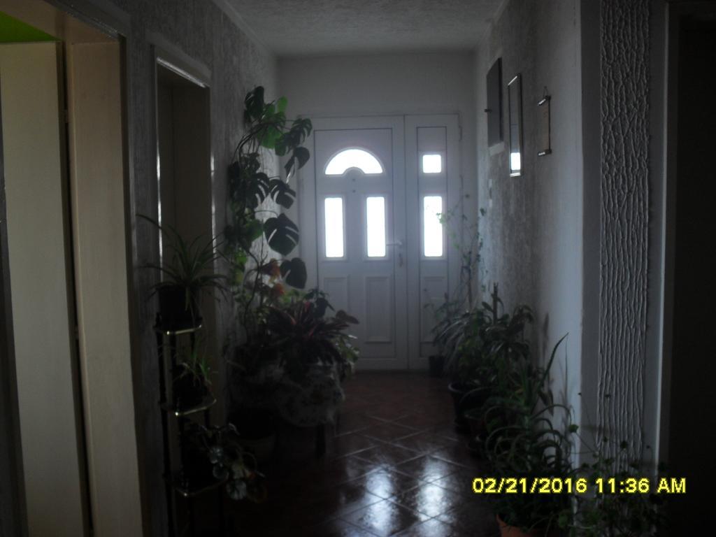 Apartment Batricevic 乌尔齐尼 外观 照片